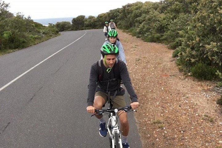 Cape Peninsula E-bike Cycle with Vehicle - Private Tour