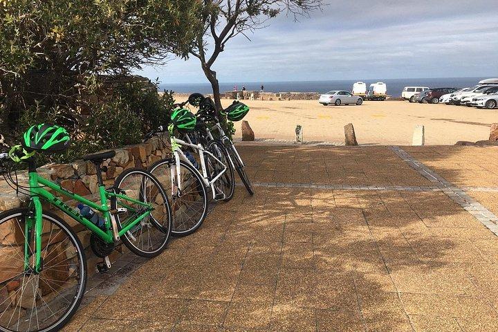 Cape Peninsula E-bike Cycle with Vehicle - Private Tour