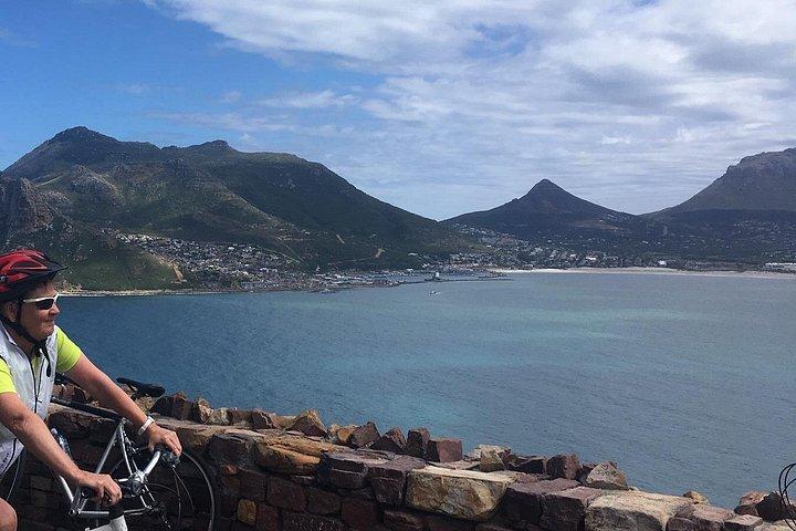 Cape Peninsula E-bike Cycle with Vehicle - Private Tour