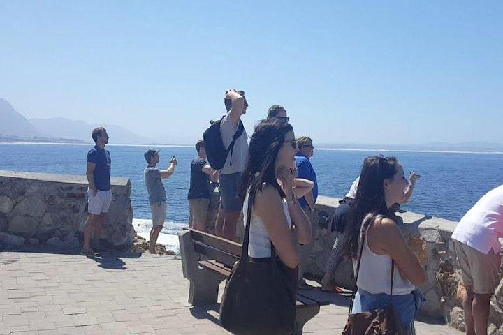 Du Cap à Durban et Garden Route - Safari privé de 7 jours
