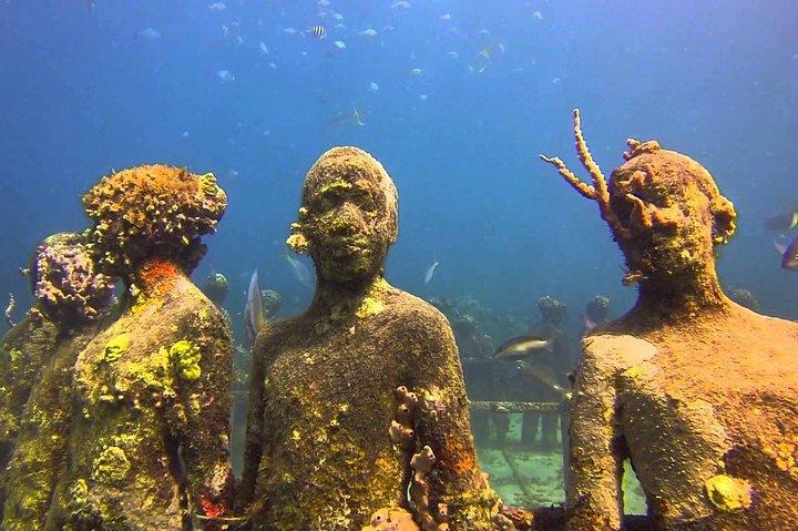 Croisière avec tuba de 4 heures vers les sculptures sous-marines avec des chiens de bateau