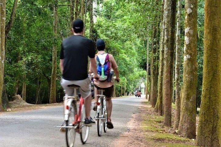 朝食と昼食付きアンコール日の出自転車ツアー