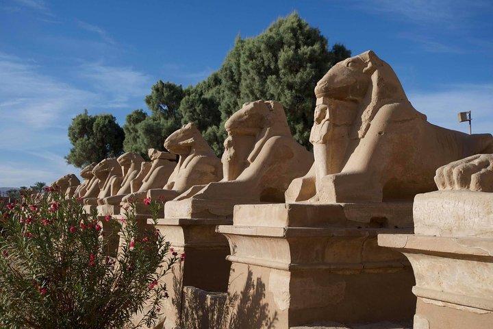 Luxor-dagtour vanuit Marsa Alam en Hurghada