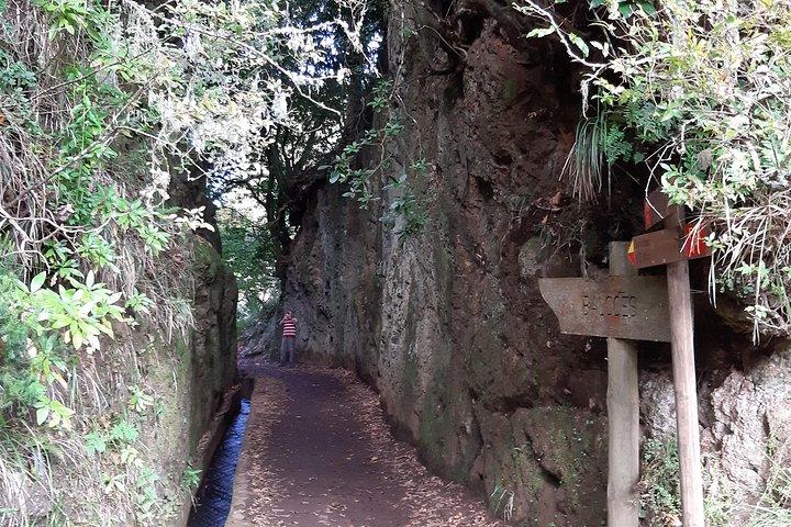 Madeira: Privat 1,5-kilometers Levada dos Balcões-vandring PR11