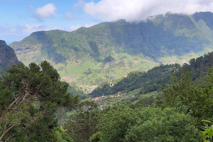 Private Guided Walk Levada Faja dos Rodrigues half-day