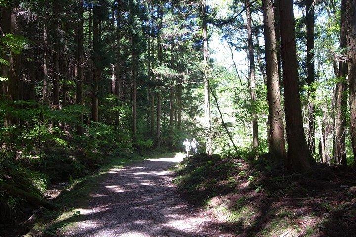 Visite privée à pied de Magome et Tsumago de Nagoya