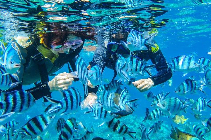 [Okinawa Blue Cave] Snorkling (bådtur, guidet charter) Meget tilfreds med den smukke butiks omfattende faciliteter (foto- og videooptagelsesservice inkluderet)