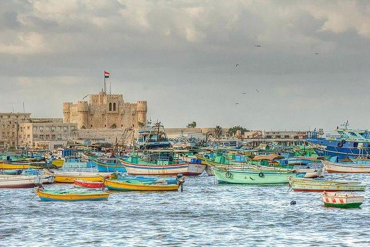 Sur une journée à Alexandria au départ du Caire
