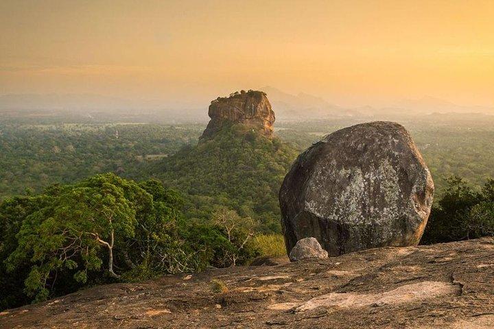 Forteresse rocheuse de Sigiriya et visite tout compris de Dambulla au départ de Kandy