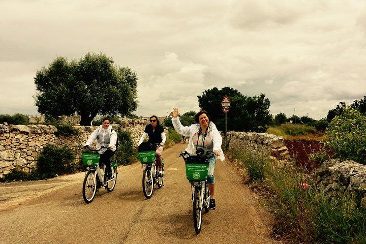 Excursão particular de bicicleta elétrica ao longo de Alberobello com almoço na Masseria local