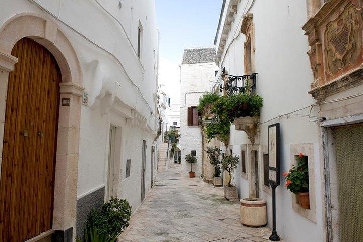Excursão particular de bicicleta elétrica ao longo de Alberobello com almoço na Masseria local