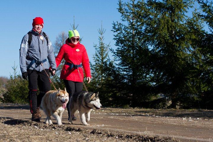 Cani-Cross Hikeでハスキー公園へのツアー