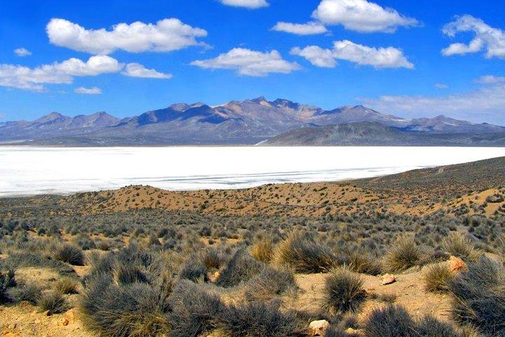 Fullday: Lagune Salinas d'Arequipa