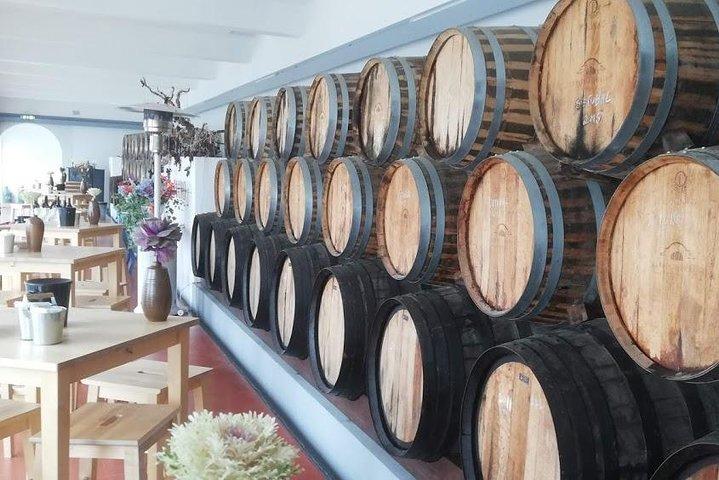 Wine Tour Descubra la historia y los sabores de las mejores bodegas de la región de Lisboa.