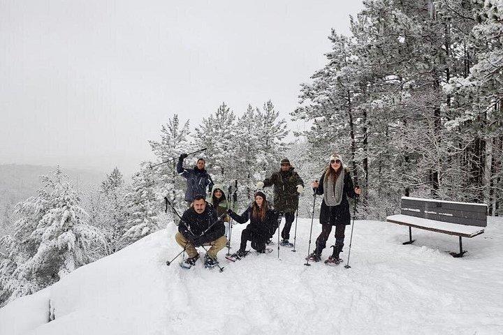Algonquin Park Winter Adventure