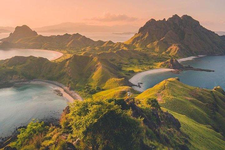 プライベートスピードボートで行くコモド1日旅行