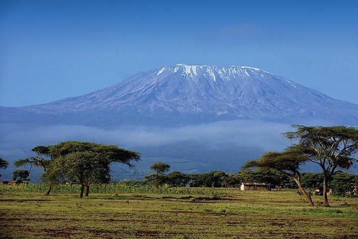 1 dagstur Kilimanjaro vandringstur