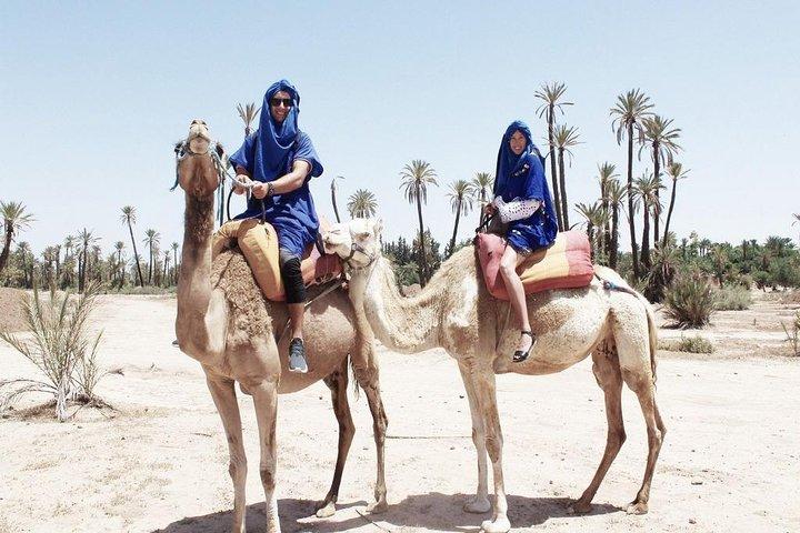 Sunset Camel Ride Tour In Marrakech Palm Groves
