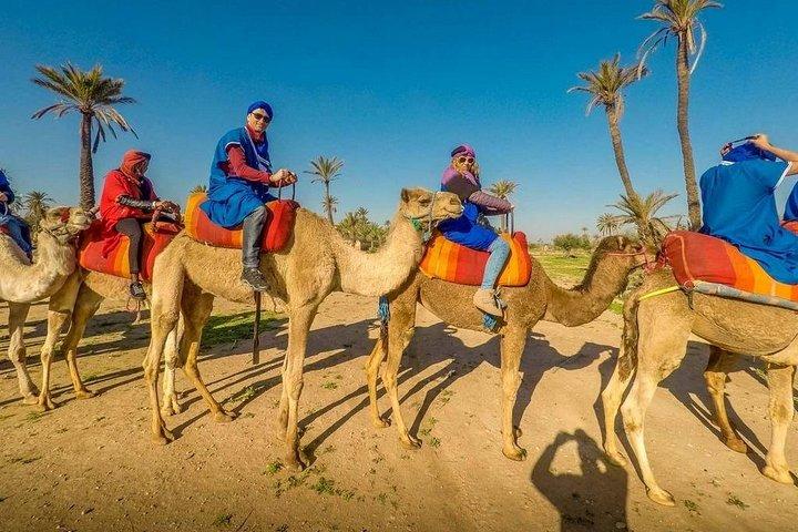 Sunset Camel Ride Tour In Marrakech Palm Groves