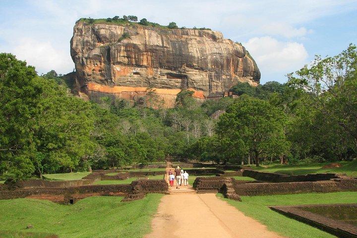 Sigiriya Rock Fortress och Dambulla Cave Day Tour från Negombo