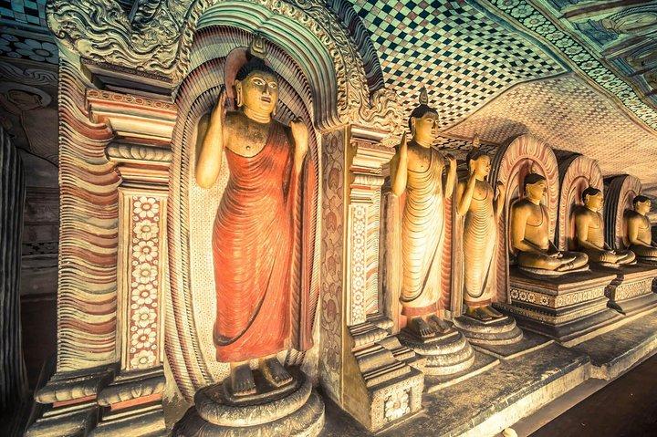 Sigiriya Rock Fortress och Dambulla Cave Day Tour från Negombo