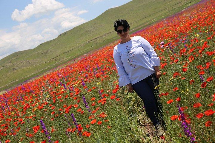グループツアー：Gyumri（アーバンライフミュージアム、黒の要塞、旧市街）、Harichavank