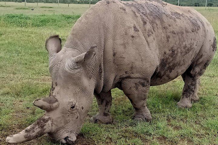 Safari speciale vegani