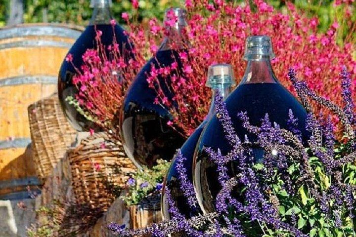 Degustazione di vini di mezza giornata e tour di Saint Paul de Vence da Nizza