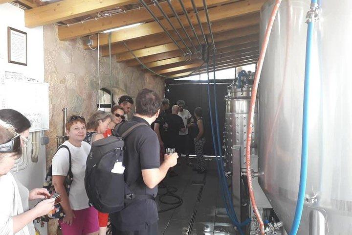 Disfrute del tour privado en furgoneta The Algarvian Wine Taste & Coast Line