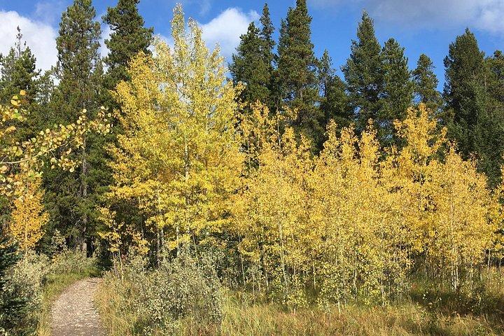 Wilderness and Wildlife Hiking Tour - 3hr Hike