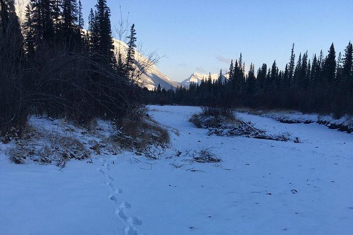 Wilderness and Wildlife Hiking Tour - 3hr Hike