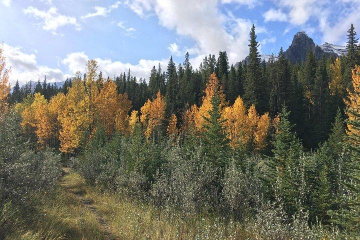 Wilderness and Wildlife Hiking Tour - 3hr Hike