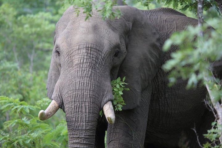 3-Day Masai Mara Private Luxury Safari