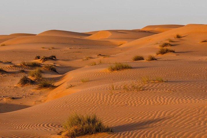 Desert Safari Private
