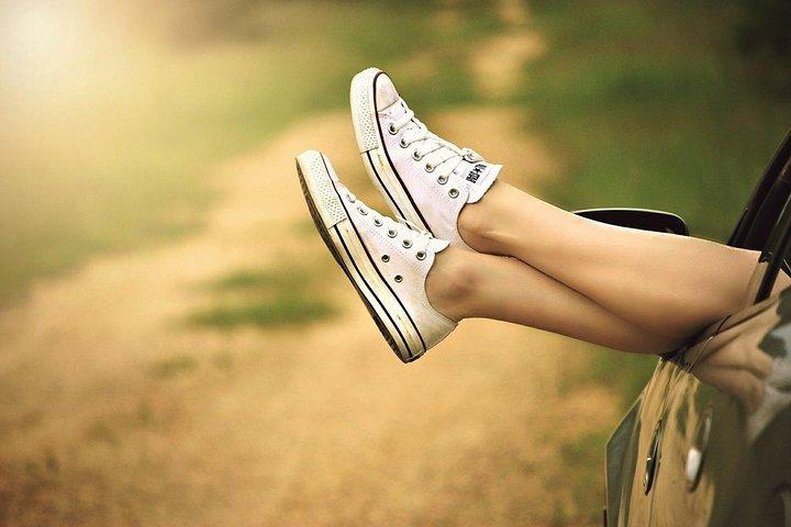 Transfert privé de Dubrovnik à Trogir avec 2h de visite, chauffeur local