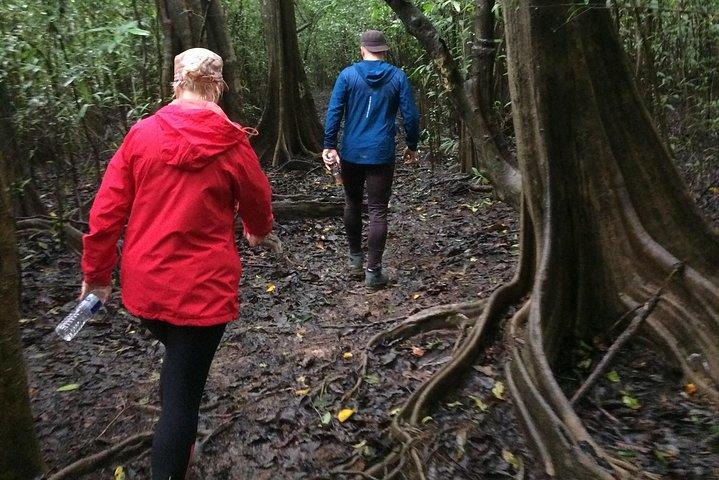 3D2N Tanjung Bulat Jungle Camp (Edição Especial)