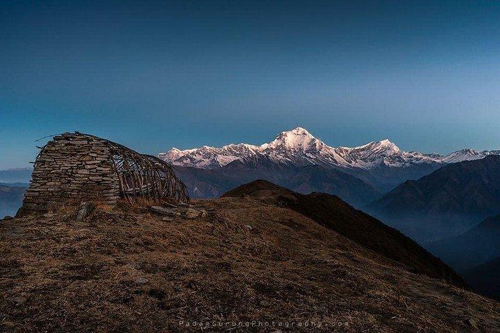Annapurna Khopra Ridge