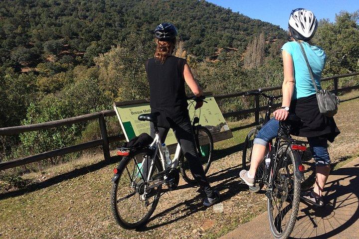 シエラノルテ自然公園へのプライベートEバイク終日小旅行