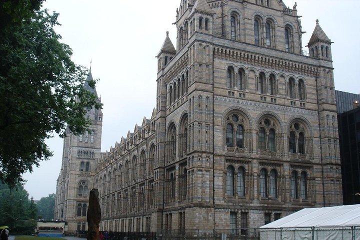 Um dia no museu - Museu de História Natural de Londres