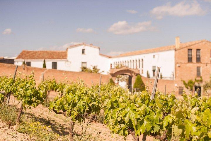 High-End Vineyard Escape: Cava, Tapas & Wine | Private Tour
