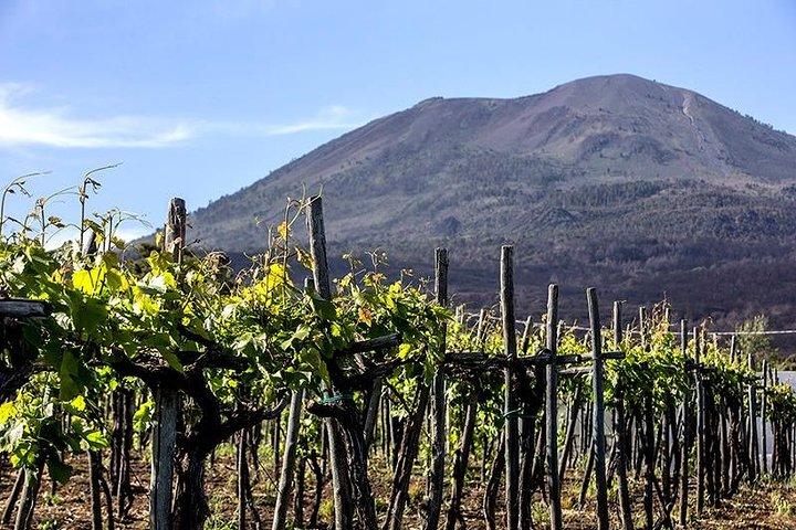 Ruínas de Pompéia e Hercualenum com almoço e degustação de vinhos de Roma