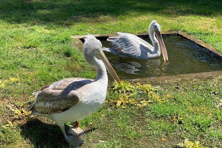Karavasta lagoon and Boat trip - Daily tour from Tirana