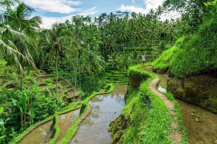 Bali Tour Package 2 Days - Best Seller