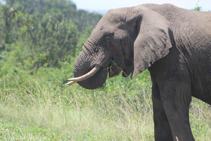 13-tägige Abenteuerreise in die Perle Afrikas