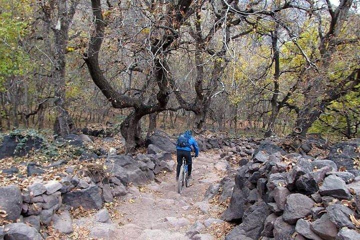 "Easy Cycling Trip in Marrakech Atlas Mountains