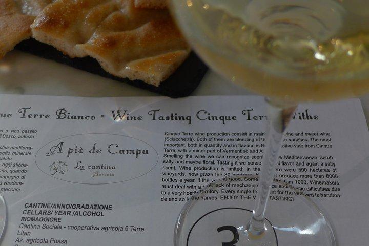 Visite du vignoble et dégustation de vins