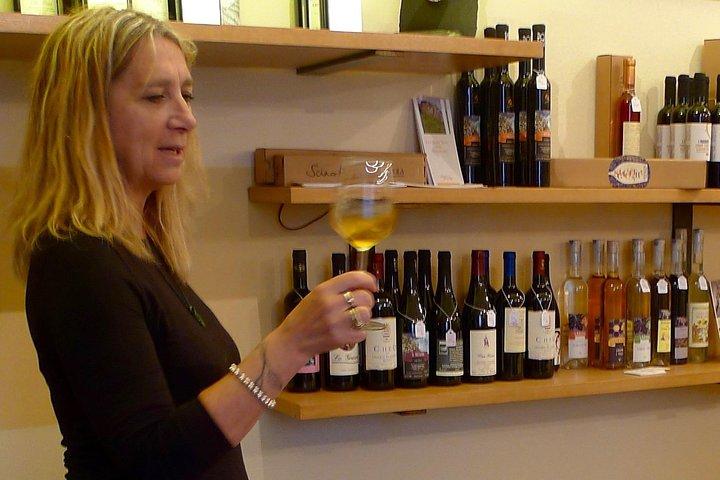 Visite du vignoble et dégustation de vins