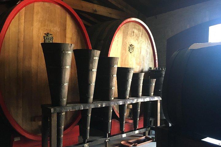 ワイン、エボ オイル、バルサミコ酢のプライベート エクスペリエンス (食事付き)
