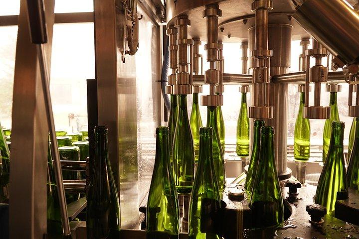 Introduktion til Alsace-vine