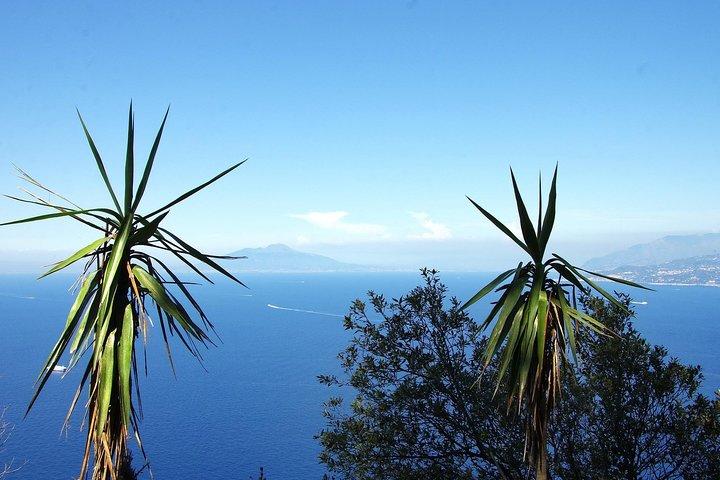 Excursión privada a Capri con experiencia exclusiva en barco y guía privada desde Sorrento